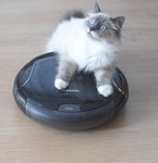 DSC02228.JPG DSC02228.JPG