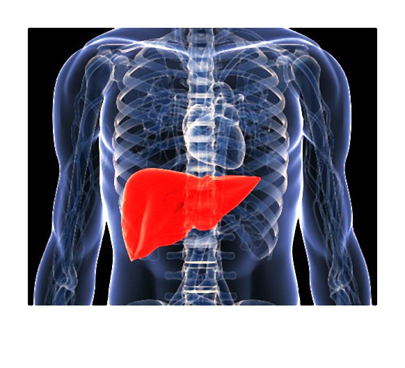 Badanie układu pokarmowego