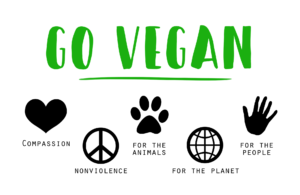 vegan- Coraz więcej ludzi jest na diecie wegańskiej, ale wege to nie tylko jedzenie to sposób bycia oraz możliwość oferowania produktów