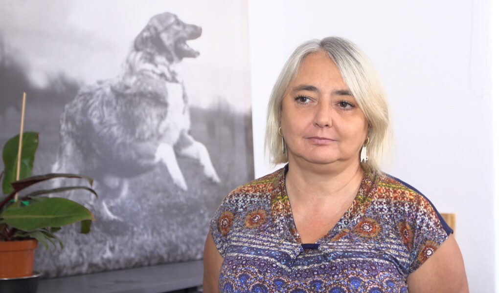 Czipowanie pozwala o jedną czwartą zmniejszyć bezdomność psów i kotów. UE chce wprowadzić taki obowiązek